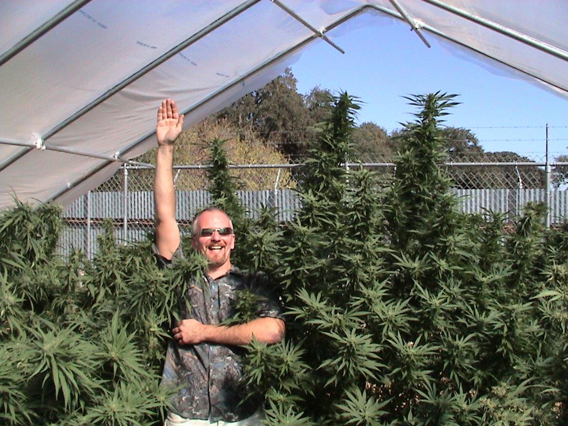 Jason Raising Hand in Cannabis Garden